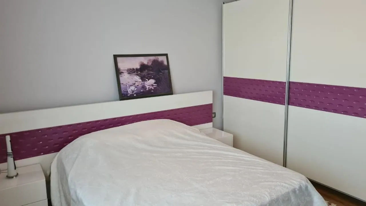 Flavio Guest House contacts